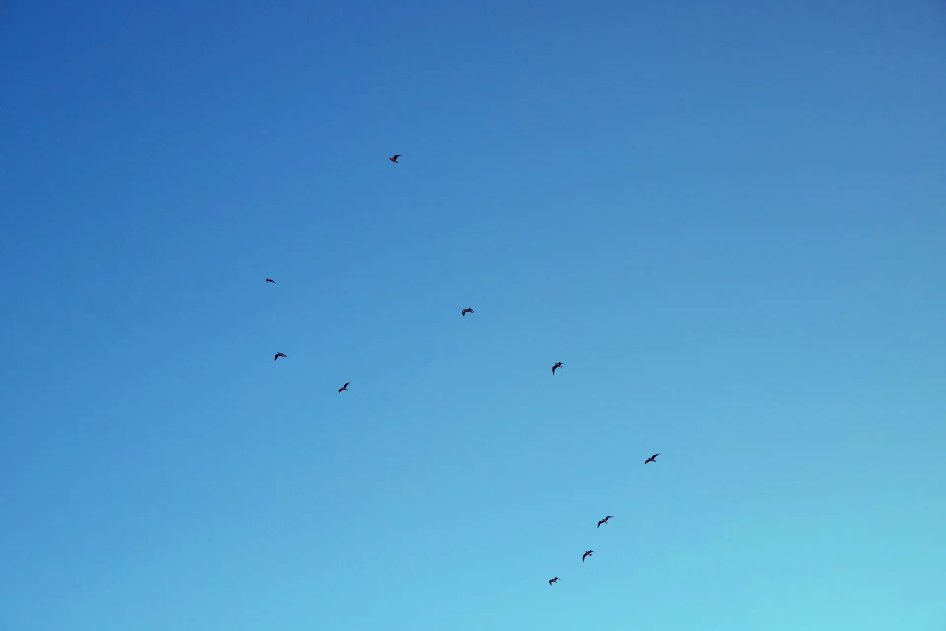 Group Practices & Clinics